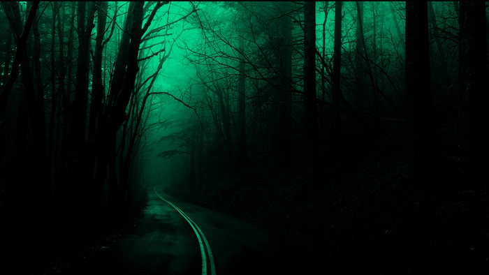 Dark forest road with green fog