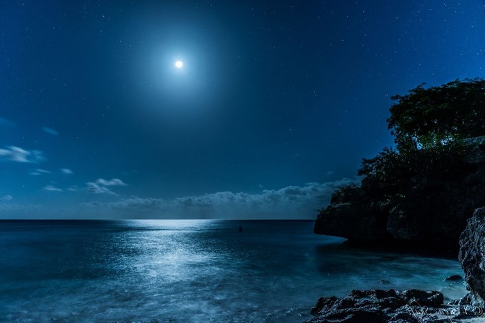 Moonlit Caribbean Sea with Starry Night Sky