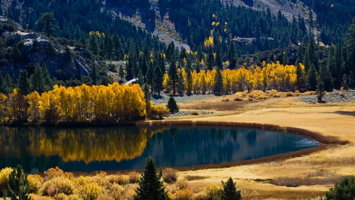 Autumn lake reflection with colorful trees and mountains