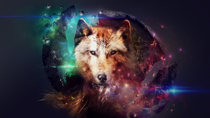 Wolf in space with shattered planet