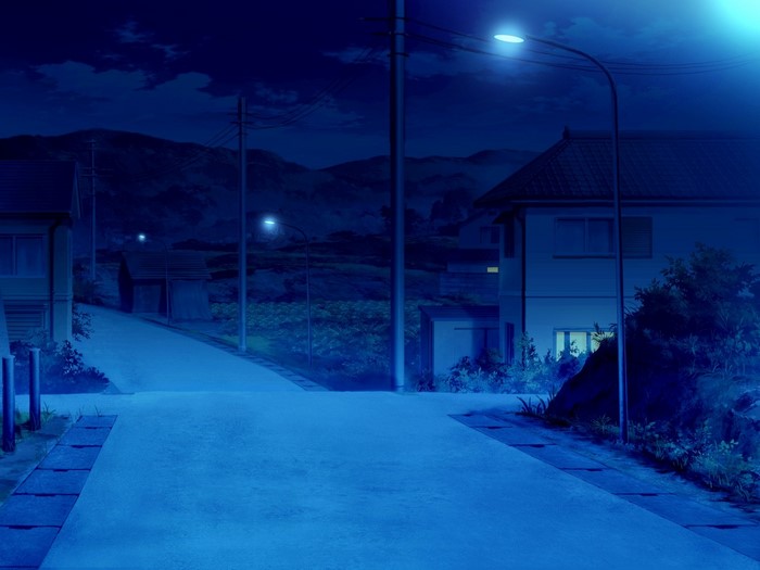 Night road in a village with houses and hills