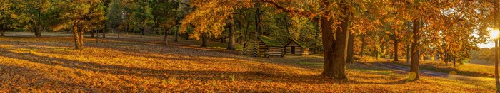Log cabins in a park during fall with sun