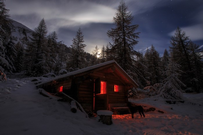 Winter cabin in snowy forest under moonlight with dog
