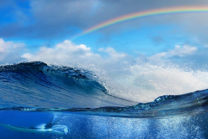 Manta Ray Swimming Underneath Ocean Wave with Rainbow