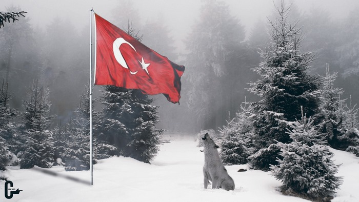 Wolf howling at Turkish flag in snowy forest