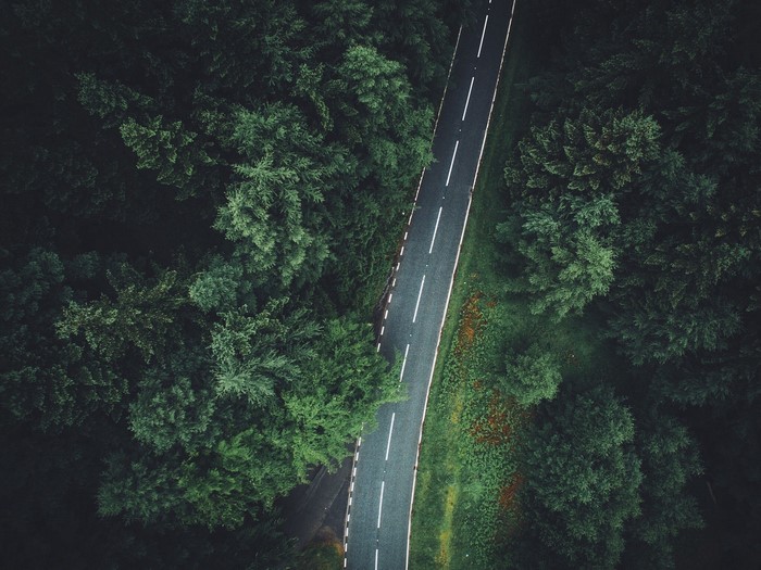 Aerial view of a road through a dense forest
