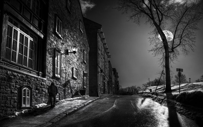 Person walking down a street at night with moon and trees