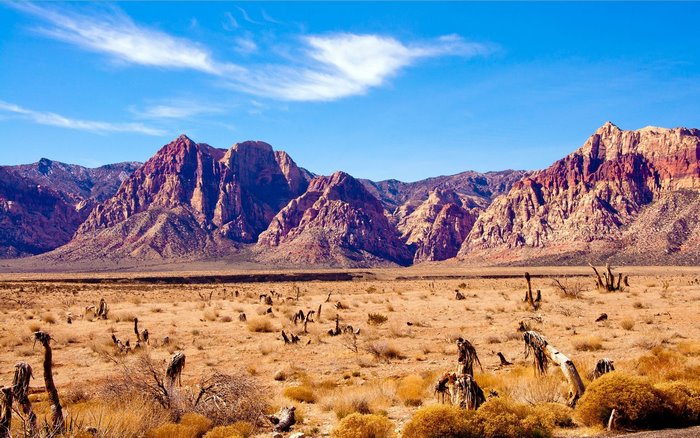 Red Rock Canyon Desert Landscape