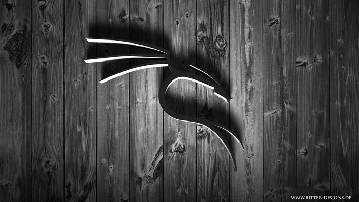Kali Linux logo on wooden background