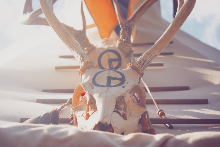 Deer skull with tribal markings and antlers