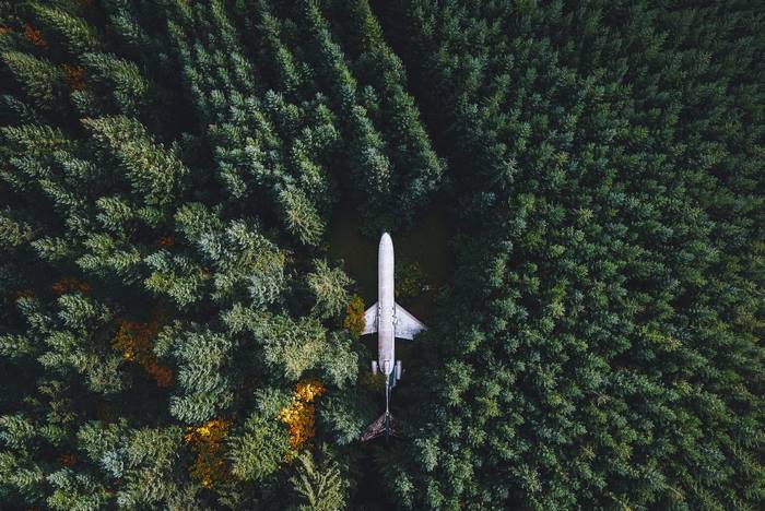 Abandoned airplane in a dense forest, aerial view