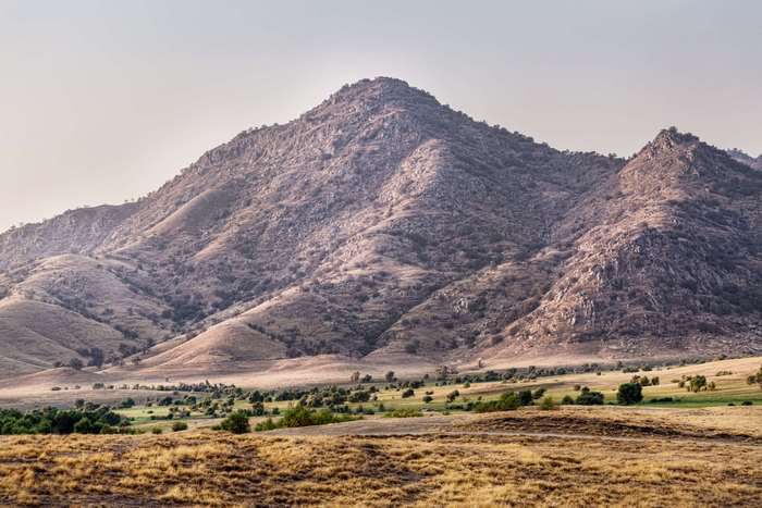 Mountainous landscape with dry grass and scattered trees