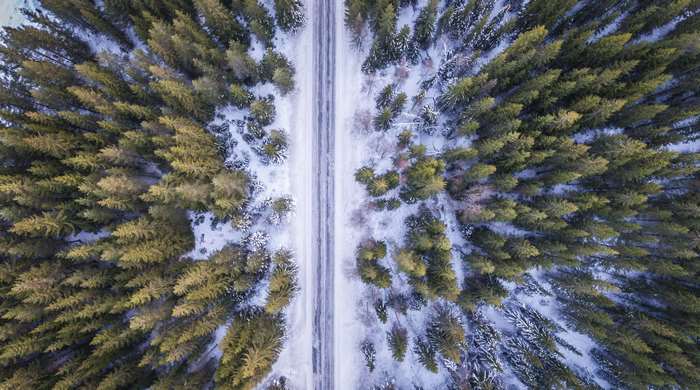 Aerial view of a road through a snowy forest