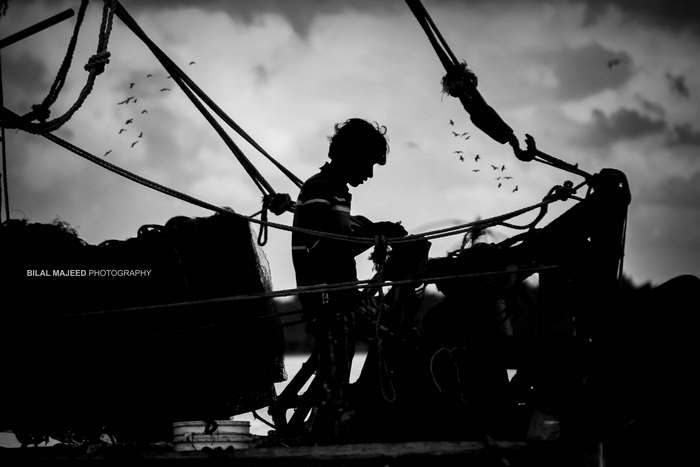 Silhouette of a boy on a fishing boat with birds flying