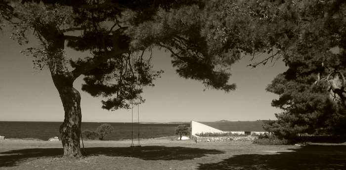 Black and white island scene with swing and trees