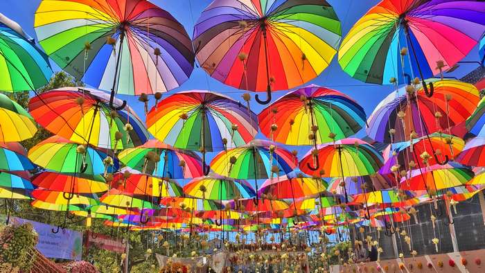 Colorful umbrellas hanging in the sky