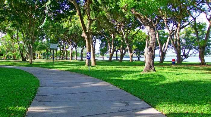 Park path with trees and water