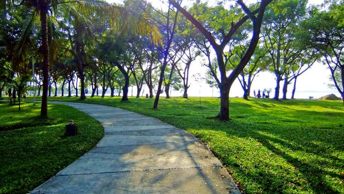 Park pathway with trees and water in the background