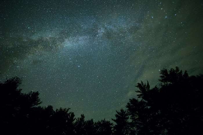 Milky Way Galaxy Over Silhouetted Trees