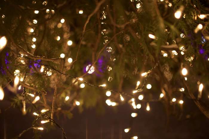 Christmas lights on a tree at night