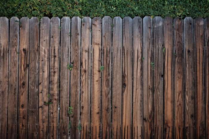 Wooden fence with green foliage 4K