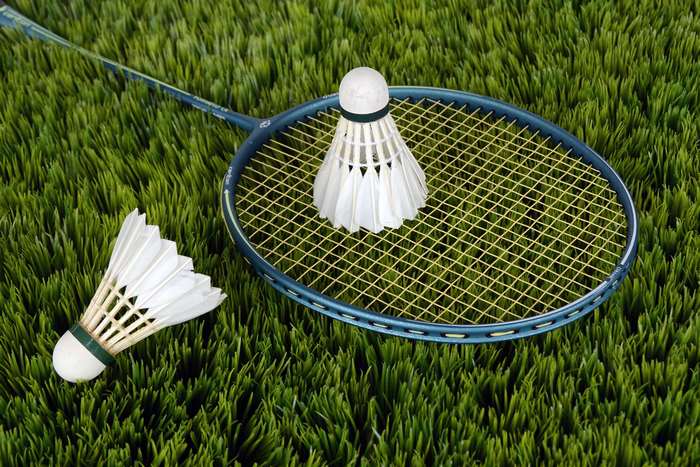 Badminton Racket and Shuttlecocks on Green Grass 4K