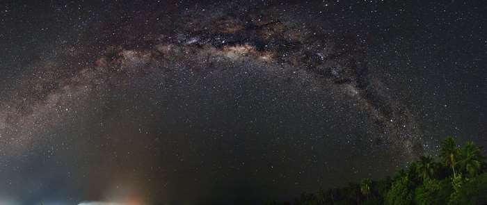 Milky Way Galaxy over Trees 4K