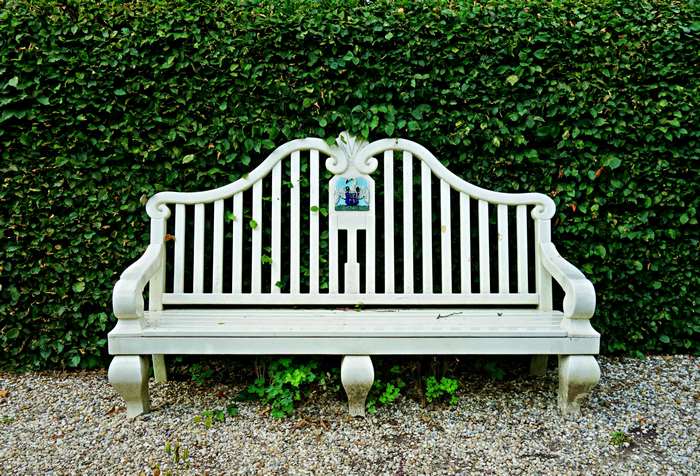 White wooden garden bench in front of a green hedge