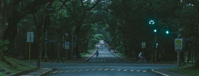 Street with trees and traffic light at University of the Philippines 4K