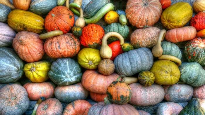 A colorful assortment of pumpkins and gourds
