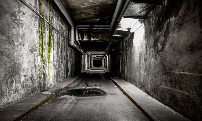 Dark, damp tunnel with pipes and moss