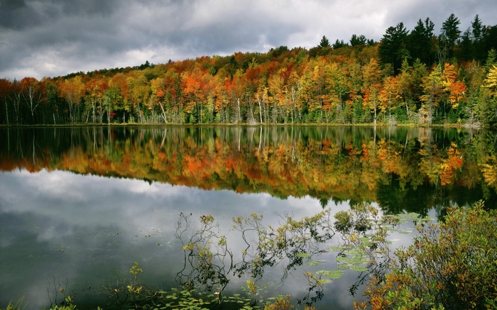 Autumn forest reflected in a calm lake