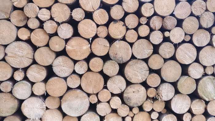 Chopped wood logs, 4K