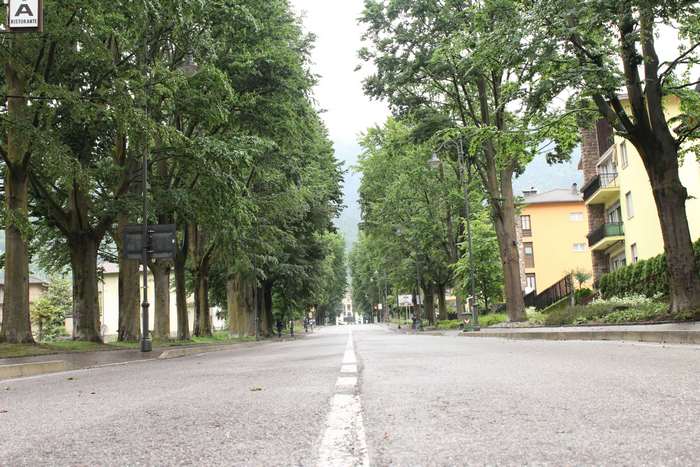 Tree-lined road in a city with buildings