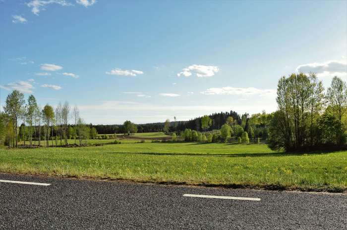 Roadside view of a green field and trees under a blue sky