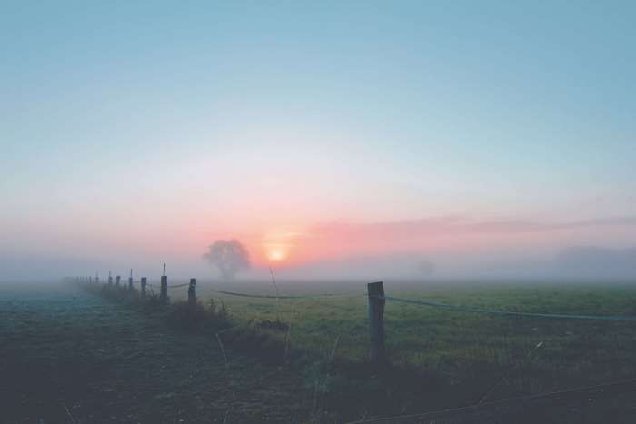 Countryside fence at sunrise with fog 4K