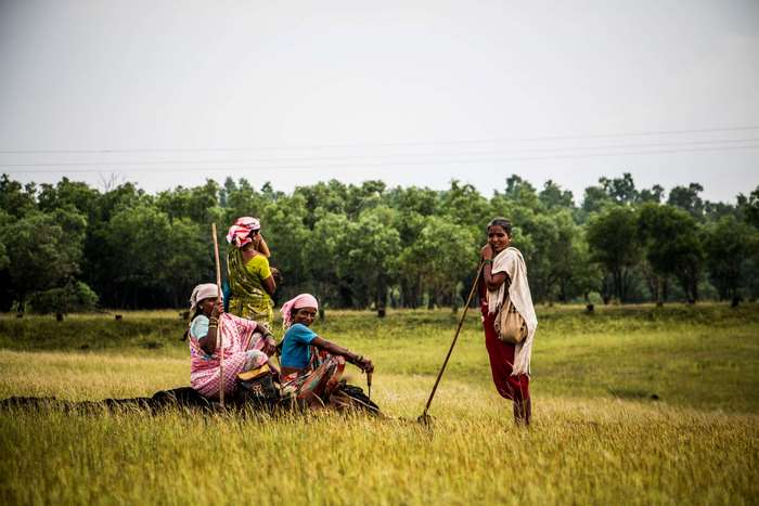 Women Resting in Indian Countryside Field 4K