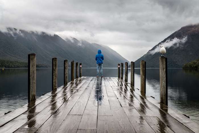Man on a wet dock with mountains and a seagull