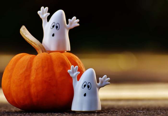 Two cute ghosts on a pumpkin for Halloween