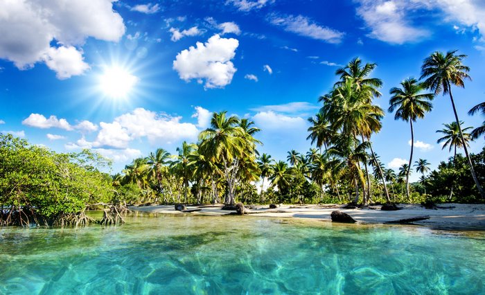 Tropical beach with palm trees and clear blue sea