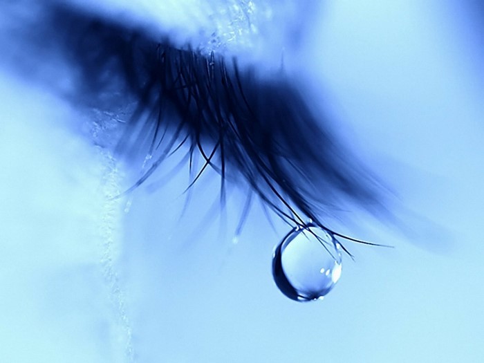 Close-up of an eyelash with a tear drop