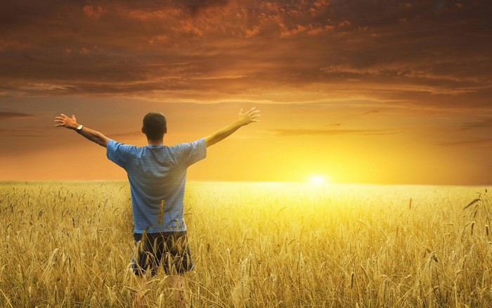Man with arms raised in a wheat field at sunset