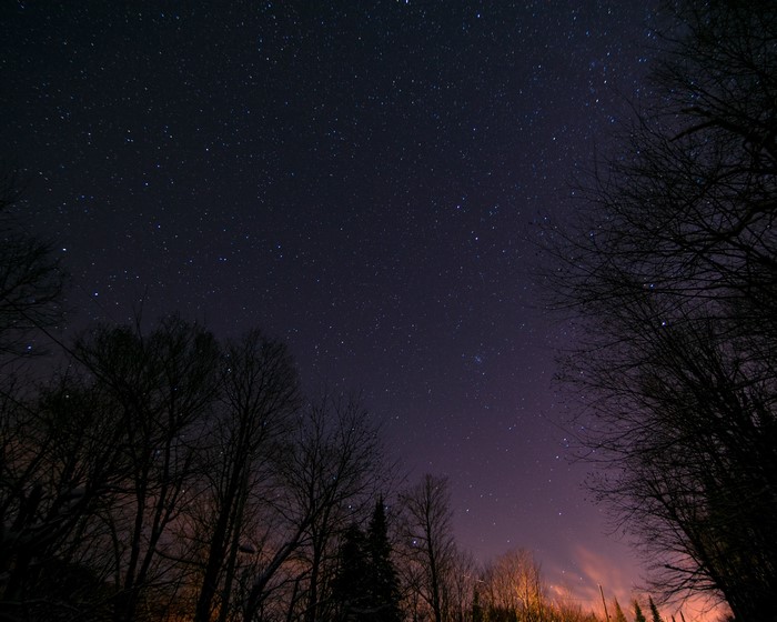 Starry night sky over silhouetted trees