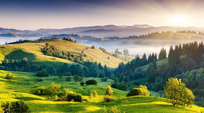 Sunrise Over Misty Green Hills and Forest