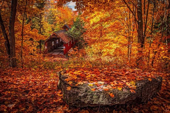 Red covered bridge in autumn forest with fallen leaves