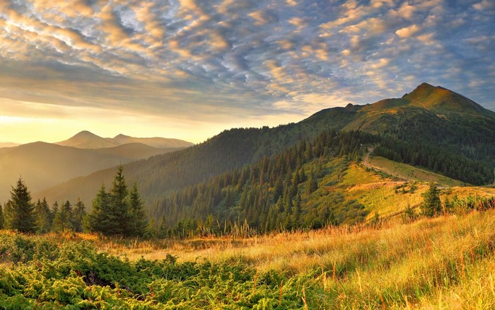 Mountain range with forest and meadow at sunrise