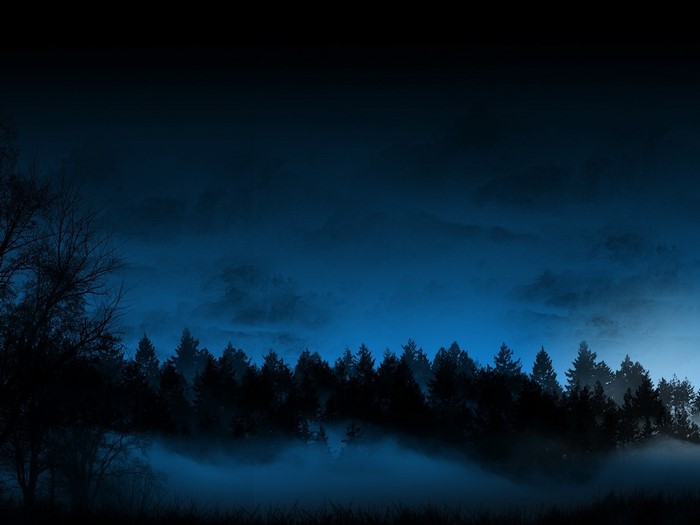 Dark Forest with Fog at Night