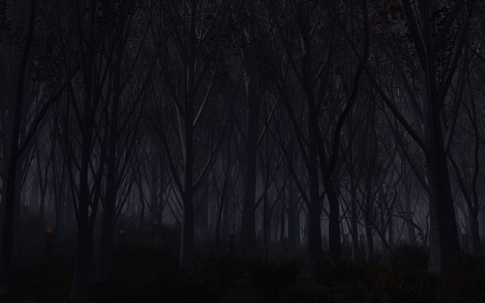 Dark forest with glowing eyes