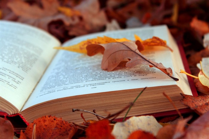 Open book surrounded by autumn leaves