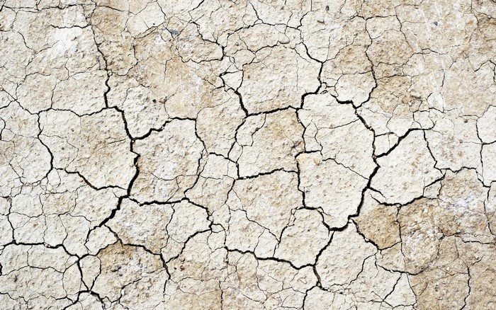Dry Cracked Earth Surface Texture